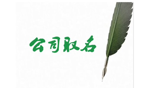 河南掌上名稱自主申報(bào)字號行業(yè)組織形式怎么填？