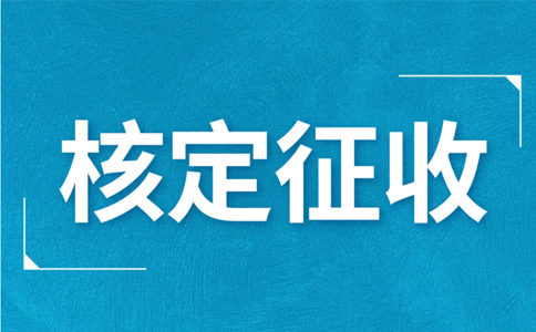 江西大額個體戶核定征收標準，2024年最新政策